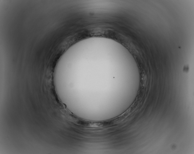 X0000101400753200807071029