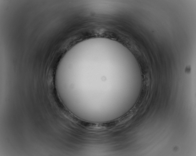 X0000101400754200807071029