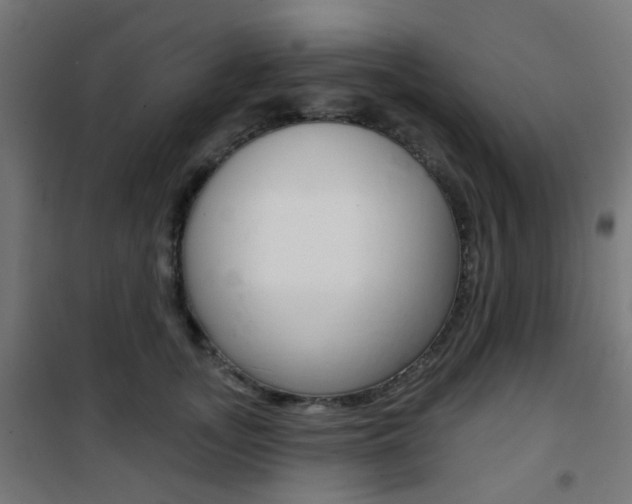 X0000101400755200807071029