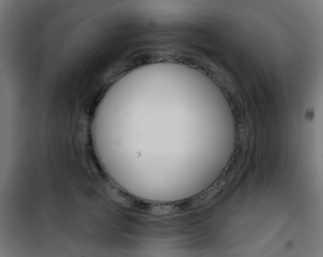 X0000101400757200807071029