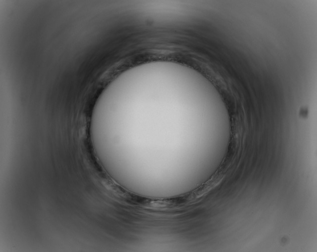 X0000101400758200807071029