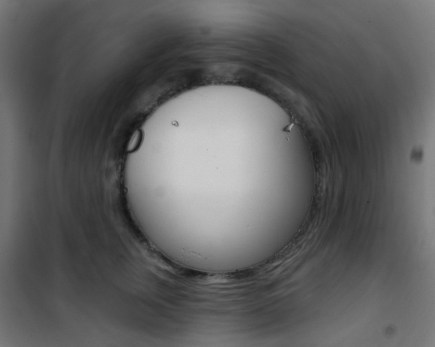 X0000101400759200807071029