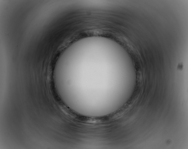 X0000101400760200807071029