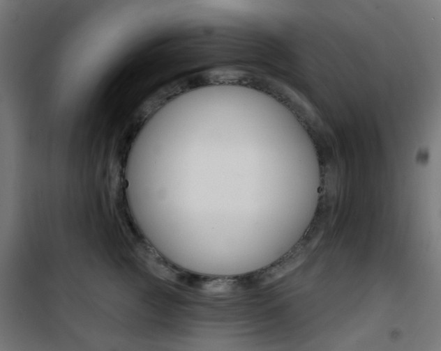 X0000101400761200807071029