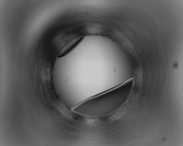 X0000101400762200807071029