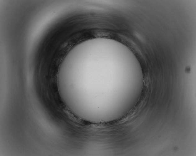 X0000101400763200807071029