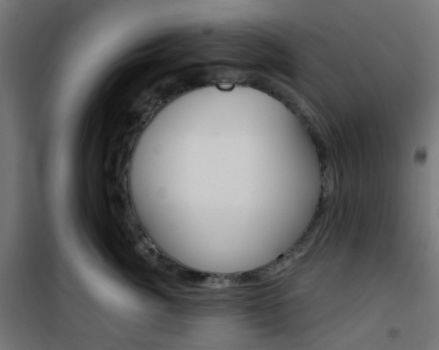 X0000101400764200807071029