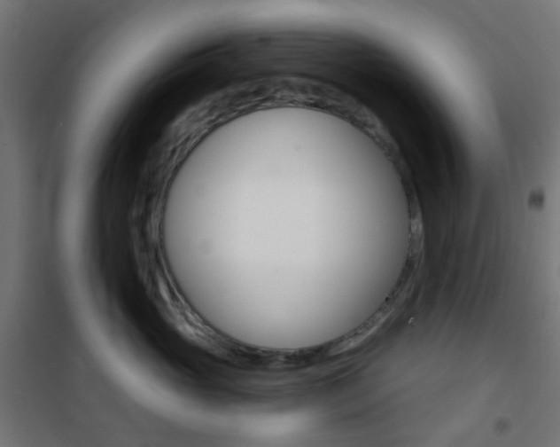 X0000101400765200807071029