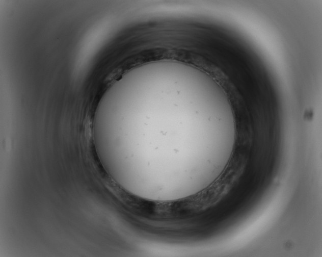 X0000101400766200807071029