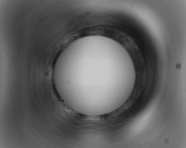 X0000101400767200807071029