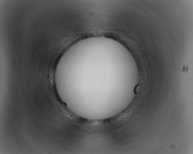 X0000101400768200807071030