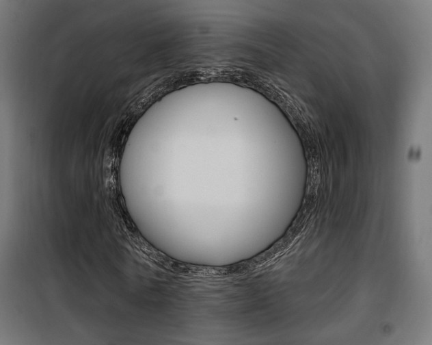 X0000101400770200807071029