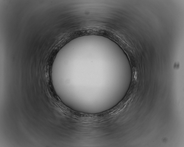 X0000101400771200807071029