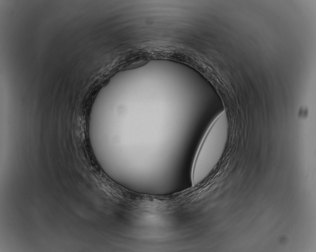 X0000101400772200807071029