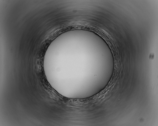 X0000101400774200807071029