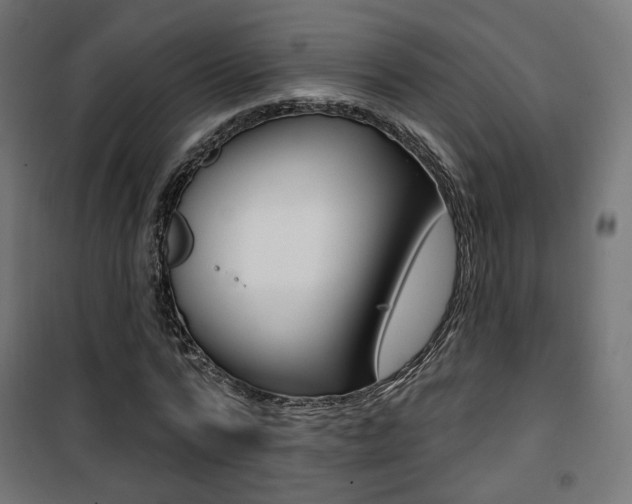 X0000101400776200807071029