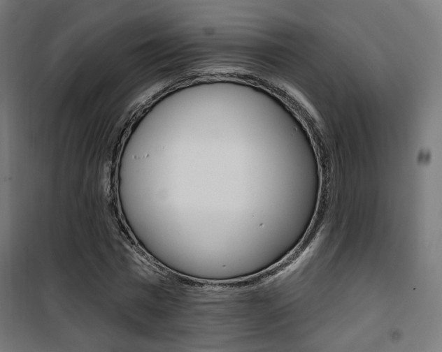X0000101400777200807071029