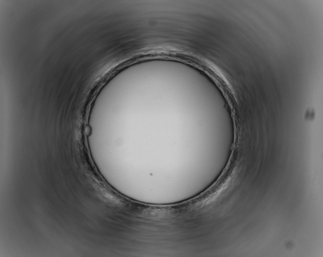 X0000101400778200807071029