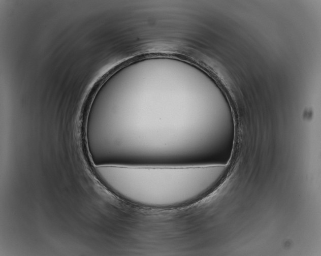 X0000101400779200807071029
