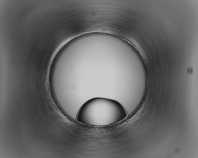 X0000101400780200807071029