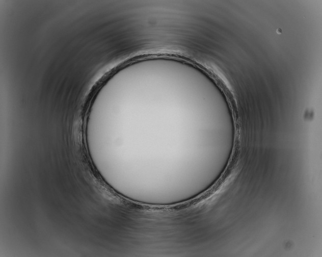 X0000101400781200807071028
