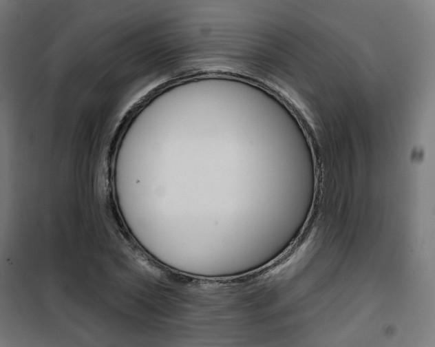 X0000101400782200807071028