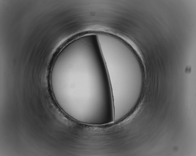 X0000101400783200807071028