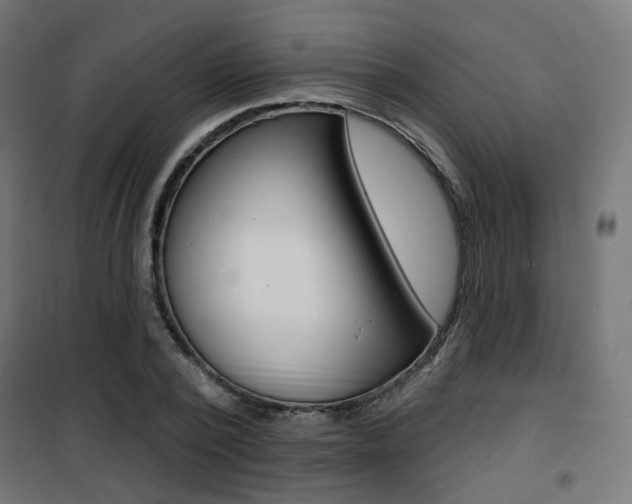 X0000101400784200807071028