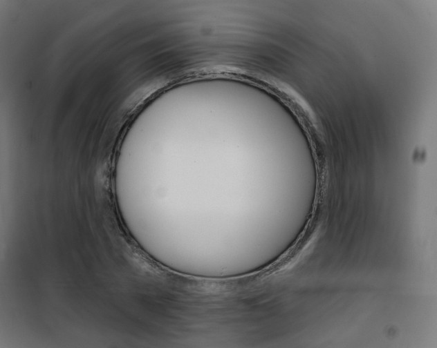 X0000101400785200807071028