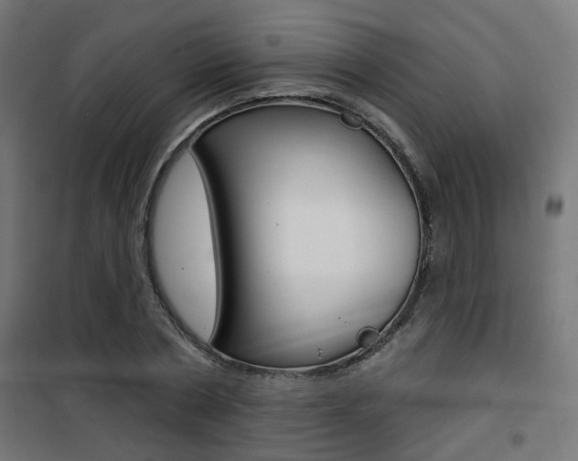 X0000101400786200807071028