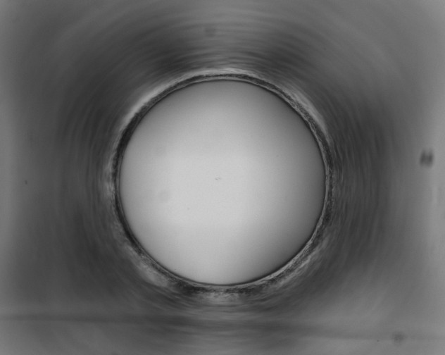 X0000101400789200807071028