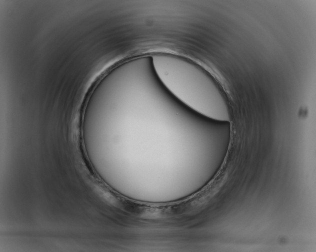 X0000101400790200807071028