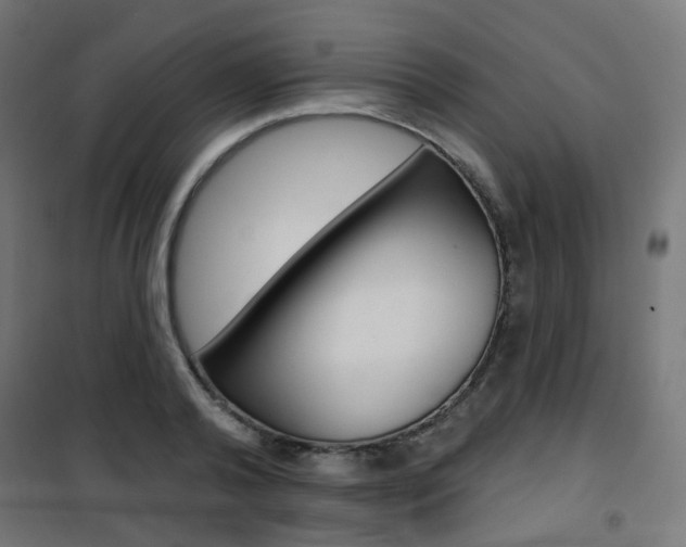 X0000101400792200807071028