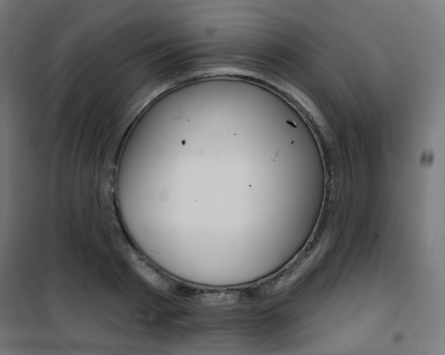 X0000101400793200807071028