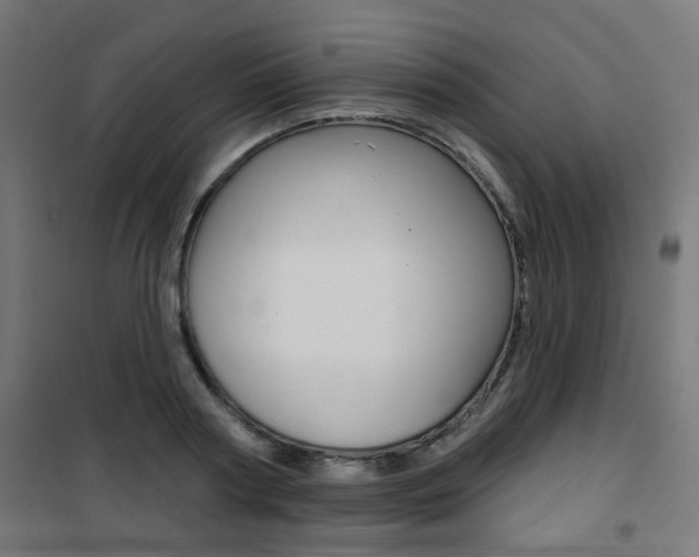 X0000101400794200807071028