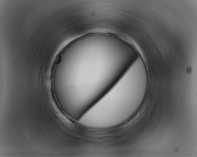 X0000101400795200807071028