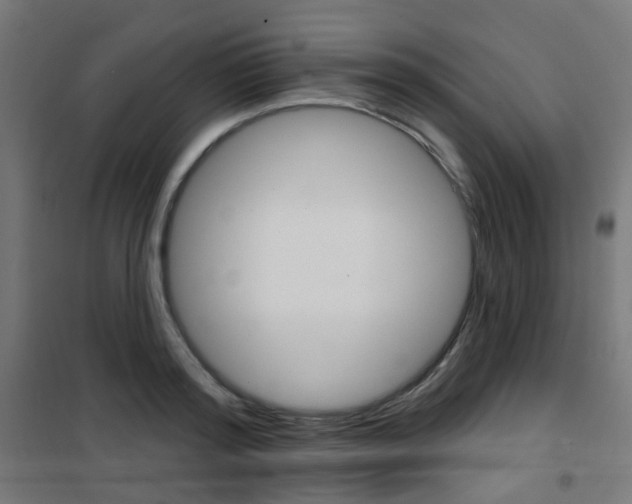 X0000101400796200807071028