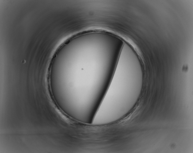 X0000101400799200807071028