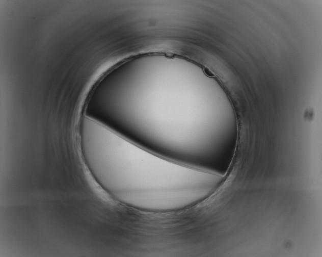 X0000101400800200807071028