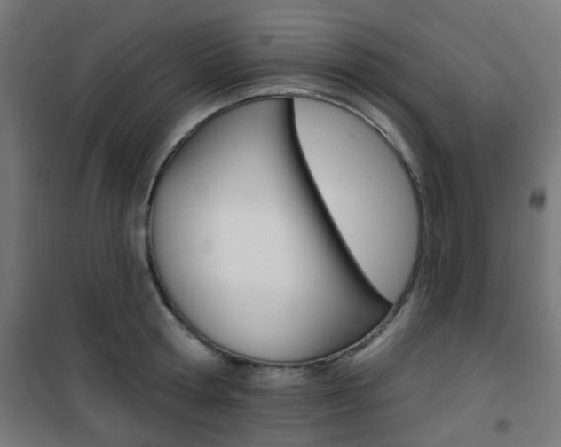 X0000101400802200807071028