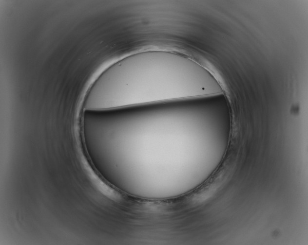 X0000101400803200807071028