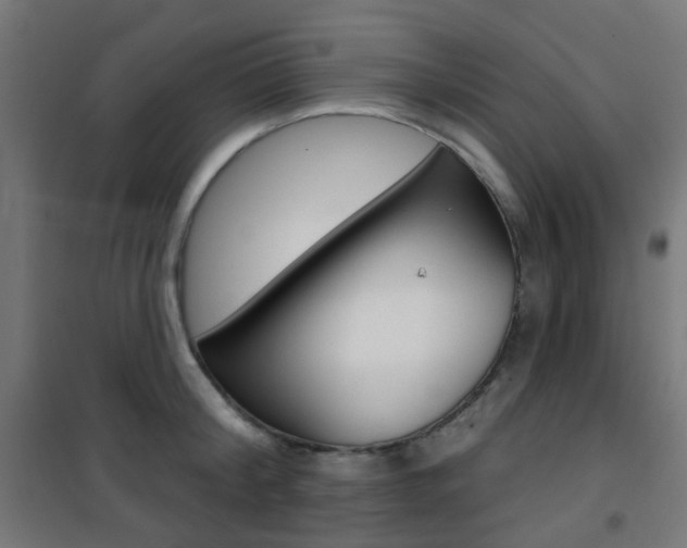 X0000101400804200807071028