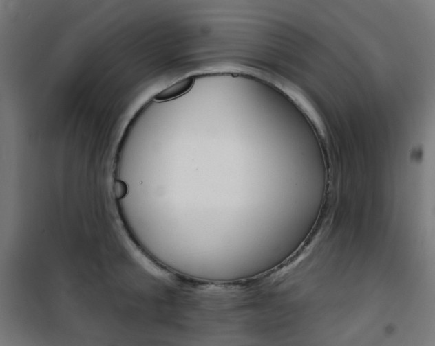 X0000101400805200807071028