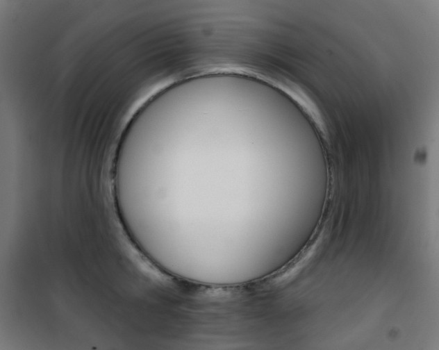 X0000101400806200807071028