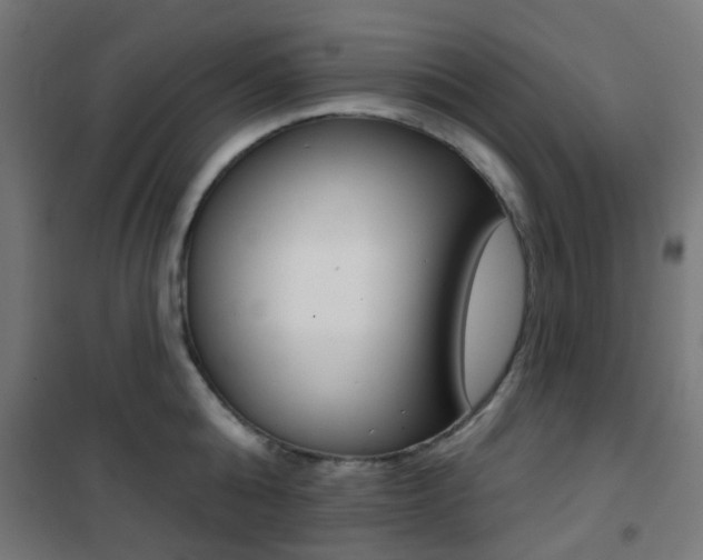 X0000101400808200807071028