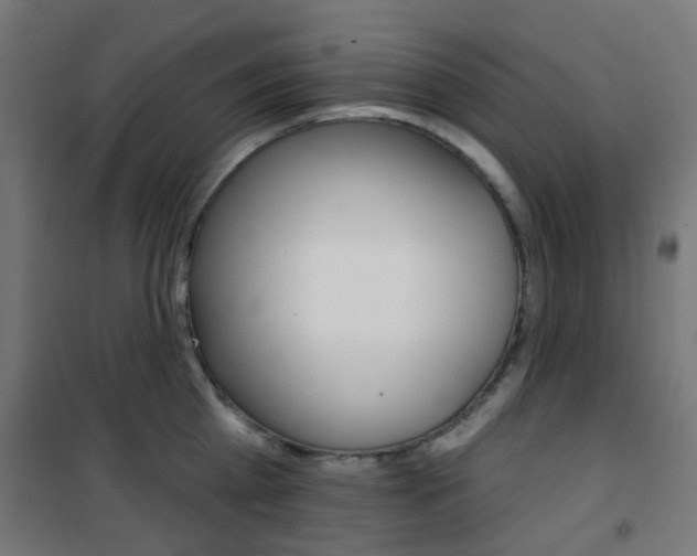 X0000101400809200807071028