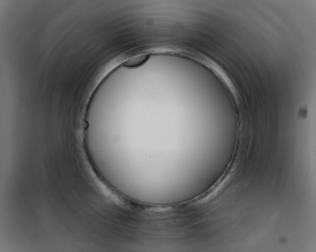 X0000101400810200807071028