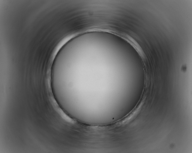 X0000101400812200807071028