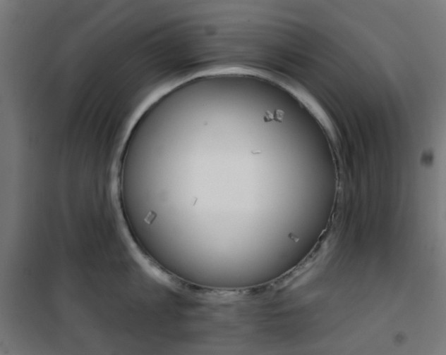 X0000101400813200807071028