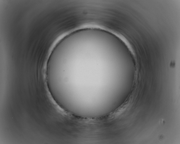 X0000101400815200807071028